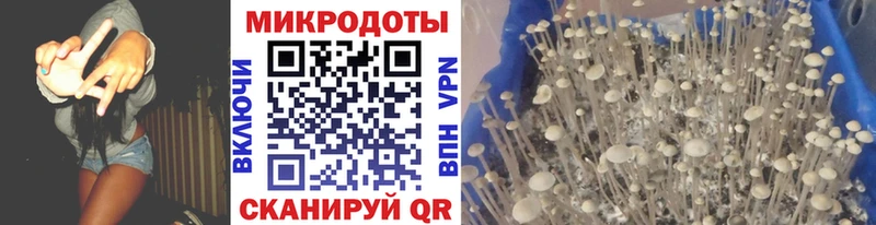 площадка официальный сайт наркошоп Борзя Галлюциногенные грибы Cubensis